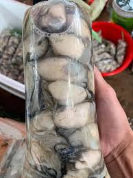 Ruột hàu sữa Thái Bình Dương